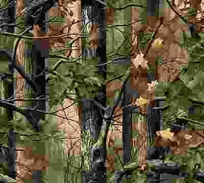 Portfolio Taxonomy Image Portfolio Taxonomy Image