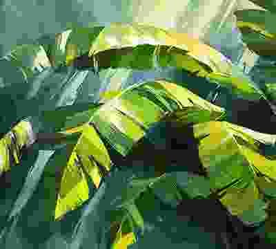 Portfolio Taxonomy Image Portfolio Taxonomy Image