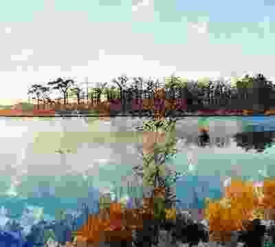 Portfolio Taxonomy Image Portfolio Taxonomy Image