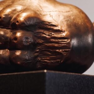 Bronz 002